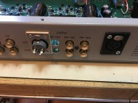 XLR jumper.jpg