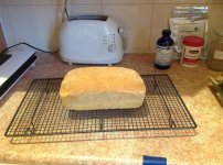 Pizza Dough Bread.jpg