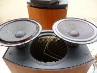 Fs 48 Hz SPL 87 dB Xmax 3 mm.jpg