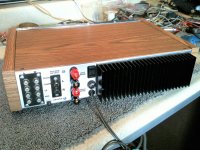 amp rear.JPG