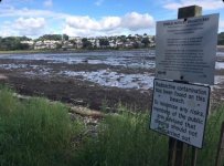 Dalgety Bay.jpg