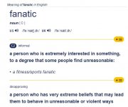 fanatic_meaning.jpg