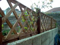 Fence Touched Up.jpg
