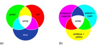 Quarks & Antiquarks.jpg