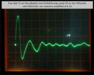 true rib_12.jpg