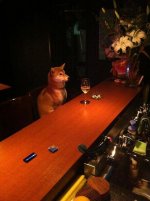 dog2.jpg