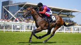 Queen's Horse Reach for the Moon.jpg