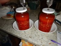DSCN7617.jpg
