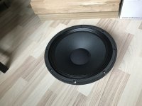celestion coax monitor (3).JPG