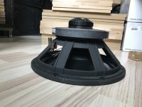 celestion coax monitor (6).JPG
