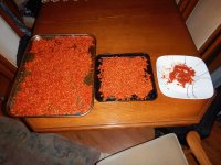DSCN7739.jpg