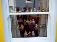 21 Ducks at Number 21.jpg