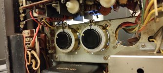 IMG_20211115_161630[1].jpg