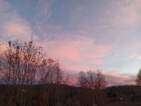 IMG_20211022_175421_577.jpg