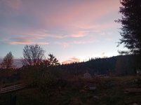 IMG_20211022_175426_069.jpg
