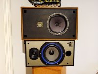 diyhf 1.jpg