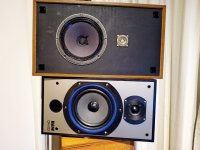diyhf 5.jpg