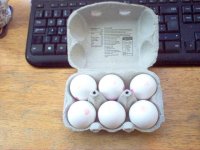 White Eggs.jpg