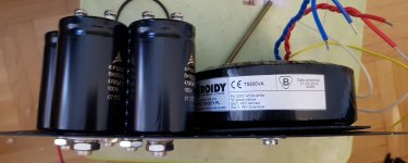 L20D_transformer_capacitors_1.jpg
