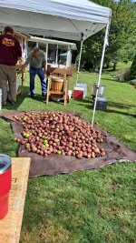 Apples.jpg