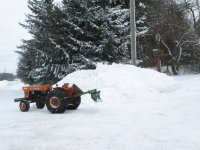 IMG_5555.JPG