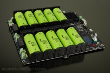 LifePO2mkIIbatteryCase2.jpg