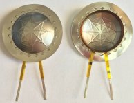 2 Titanium Diaphragm (eBay, scarlettchen).jpg