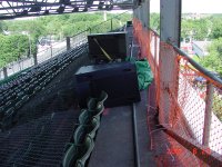 Maltese in stands.jpg