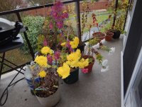 DSCN7881.jpg