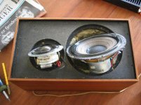 picture 600-1.jpg