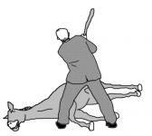 2020-07-28 11_58_00-Start.png