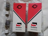 sv1.jpg