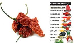spices.jpg