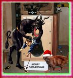 MERRY APERTURE.jpg