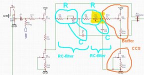 6-24-ACO_Robin2.jpg