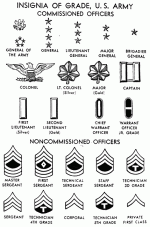 Ranks.gif