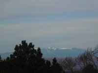 DSCN0717.JPG