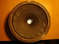 parlante 10 pulgadas.jpg