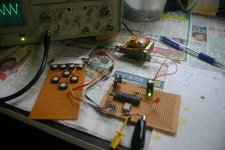 signal-g-2.jpg