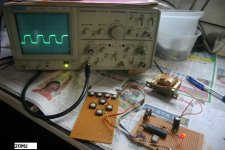 500hz-2.jpg