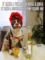 home_schooling.jpg