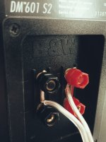 IMG_20220117_234701-01.jpeg