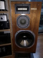 IMG_20220119_173031.jpg