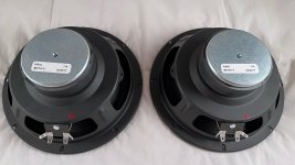 IMG_0018.jpeg