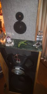 IMG_20220121_125319.jpg