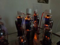 DSC03028.JPG