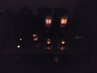 IMG_20220129_201508119.jpg