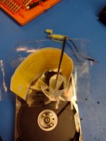 IMG_20220131_120420211.jpg