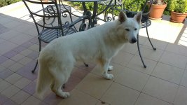 27072012001.JPG