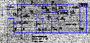 salas40casc.gif